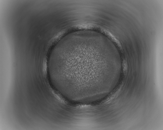 X0000111870637200908061254