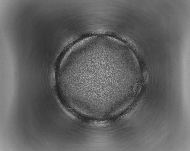 X0000111870638200908061254