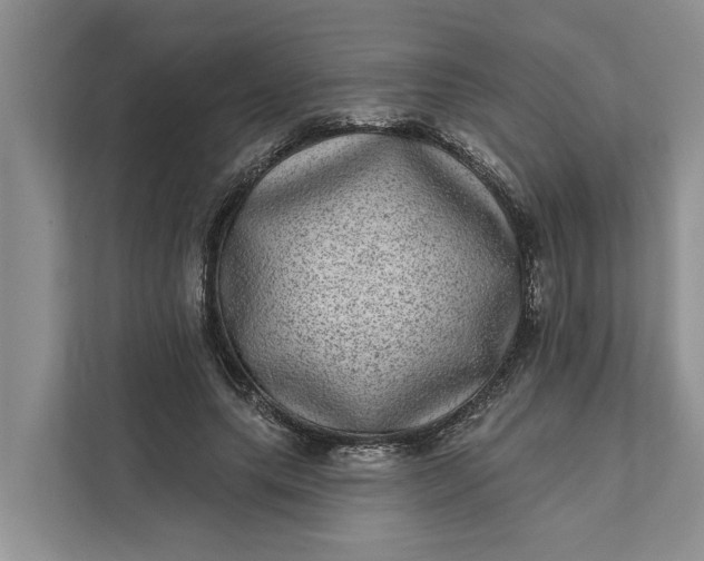 X0000111870639200908061255