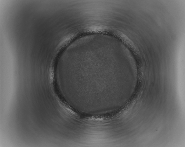 X0000111870640200908061255