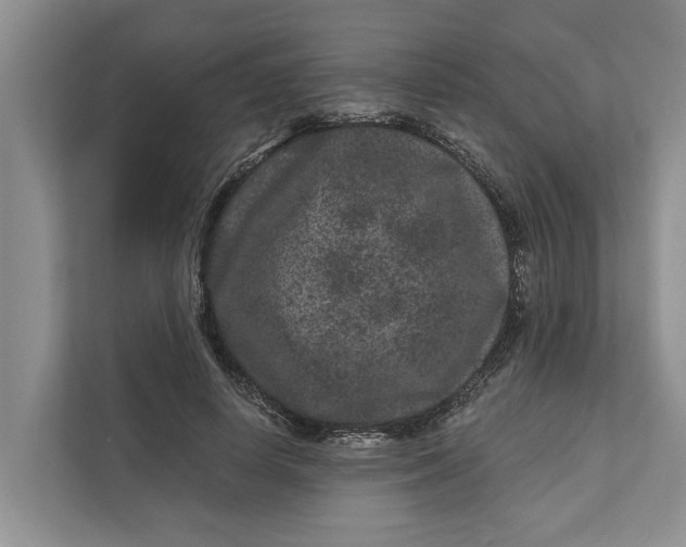 X0000111870642200908061255