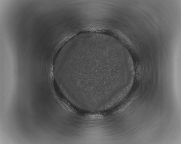 X0000111870644200908061255