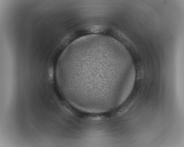 X0000111870646200908061255