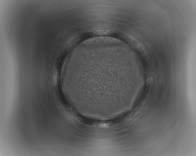 X0000111870647200908061255