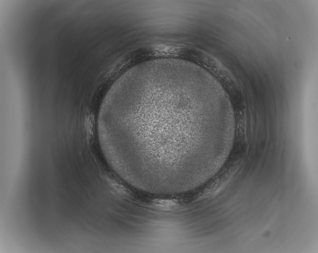 X0000111870649200908061255