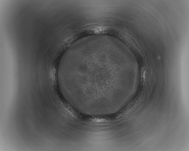 X0000111870650200908061255