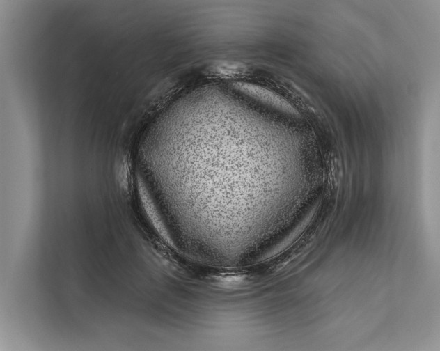 X0000111870651200908061255