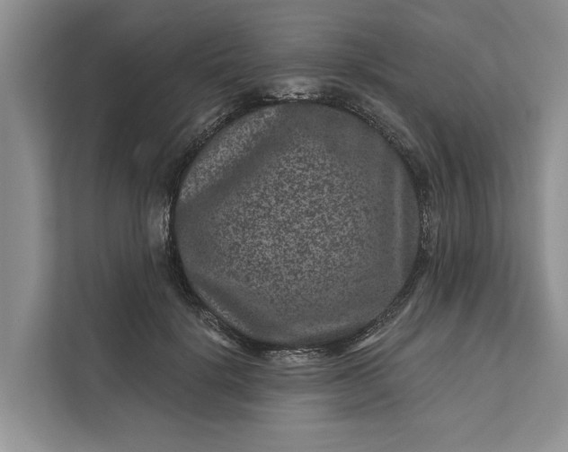 X0000111870652200908061255