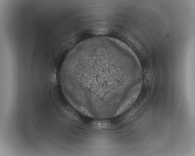 X0000111870655200908061255