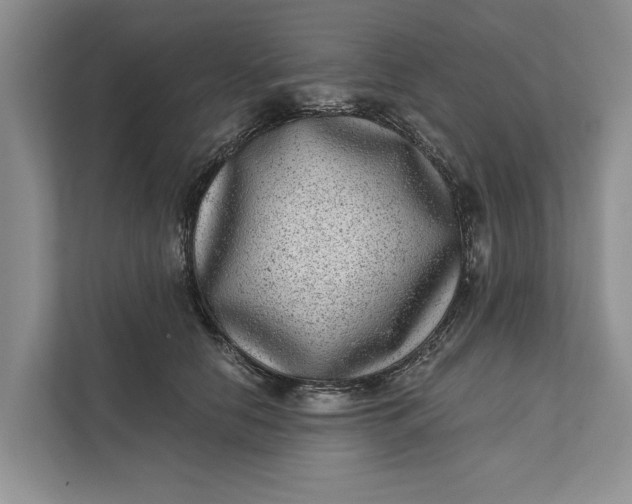 X0000111870658200908061255