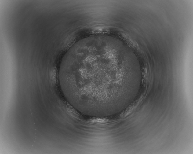 X0000111870659200908061255