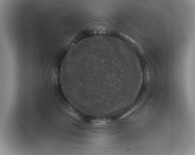 X0000111870661200908061255