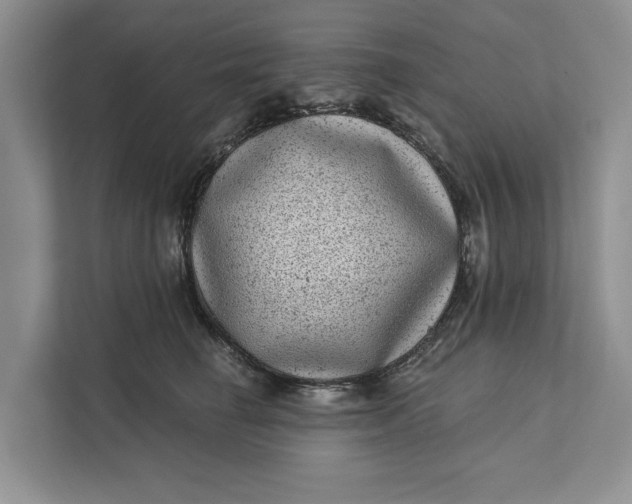 X0000111870662200908061255