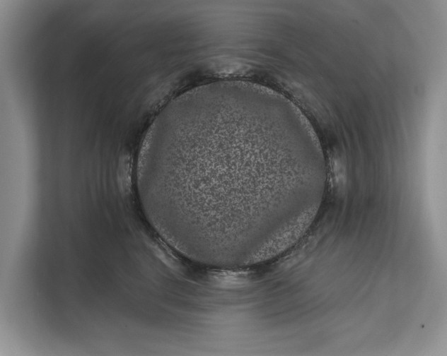 X0000111870664200908061255