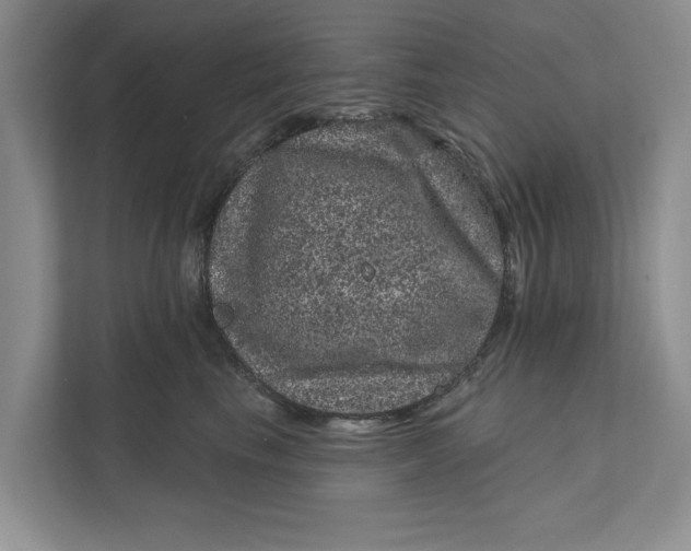 X0000111870665200908061255