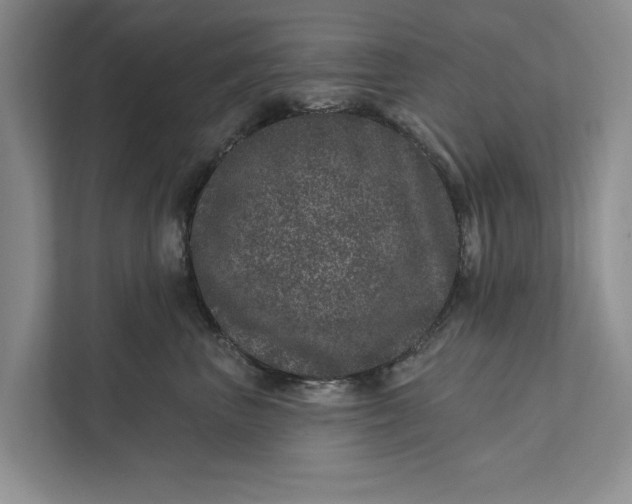 X0000111870667200908061255