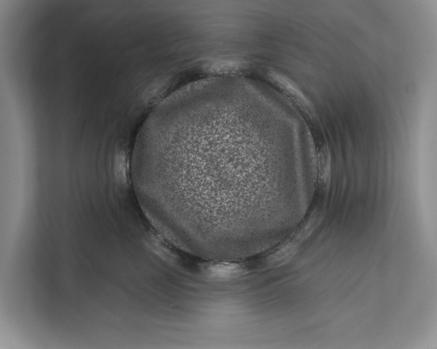 X0000111870669200908061255