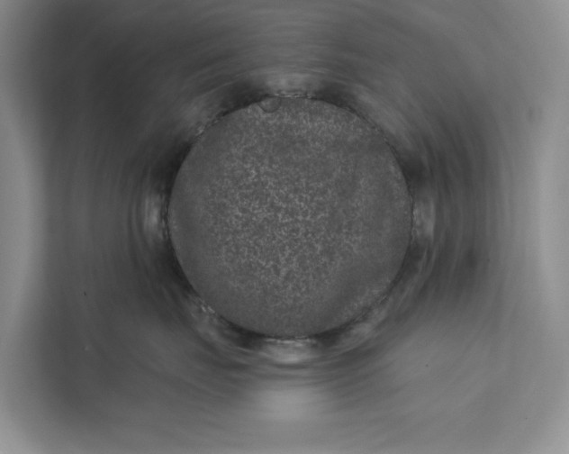 X0000111870671200908061255