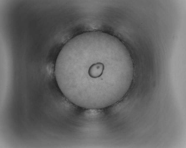 X0000111870672200908061255