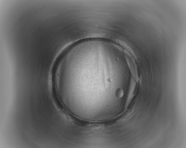 X0000111870676200908061254