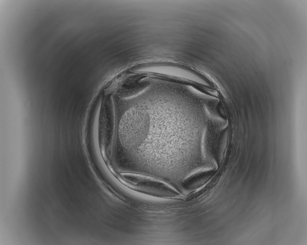 X0000111870677200908061254