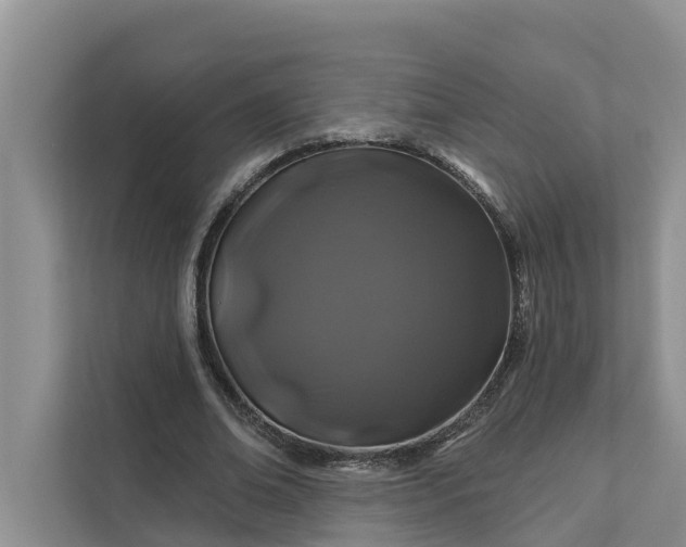 X0000111870678200908061254