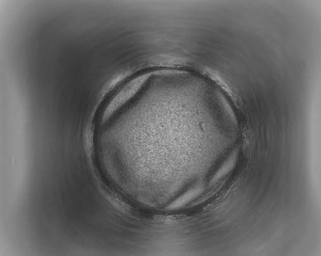 X0000111870679200908061254