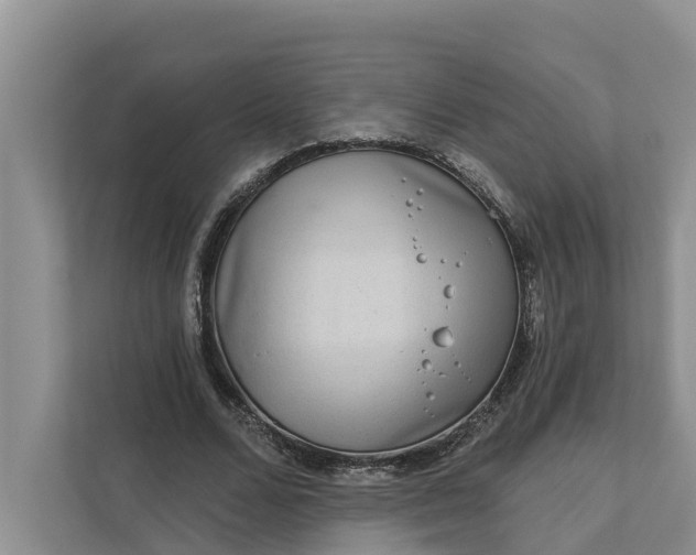 X0000111870680200908061254