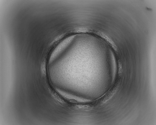 X0000111870681200908061254