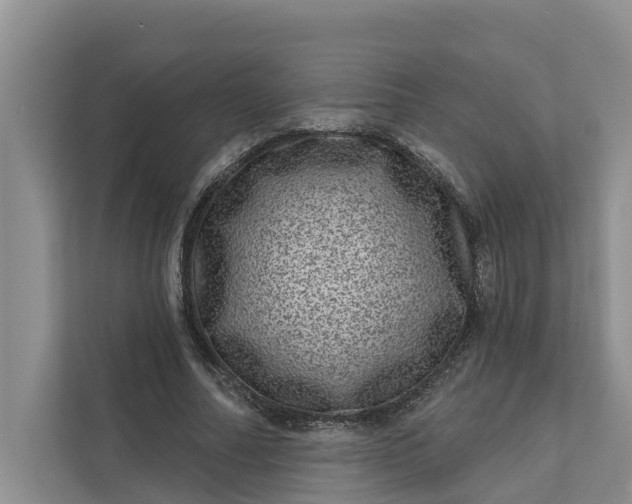 X0000111870682200908061254