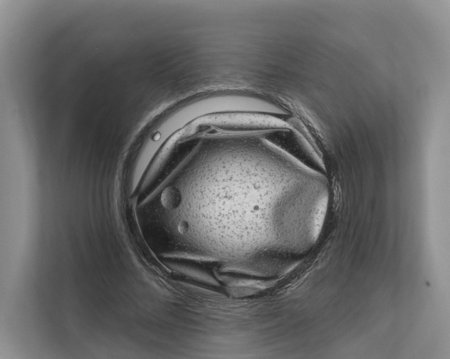 X0000111870684200908061254