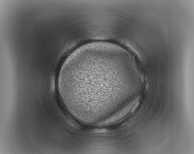 X0000111870685200908061254