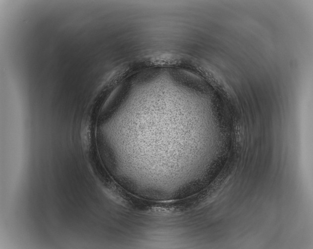 X0000111870690200908061254