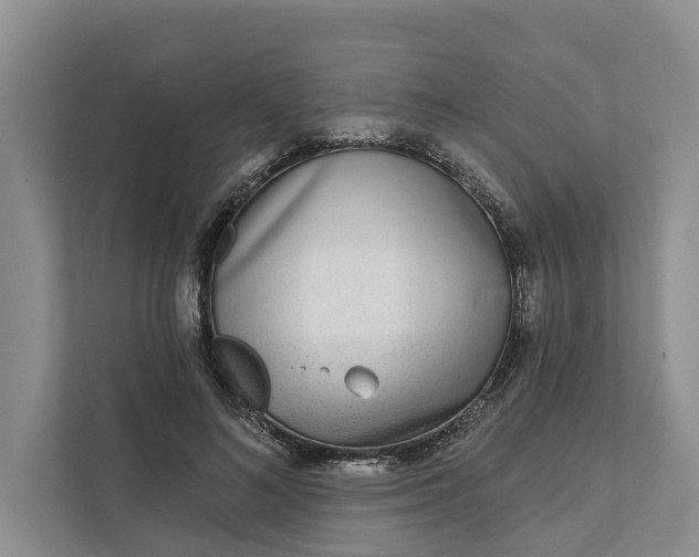 X0000111870692200908061254