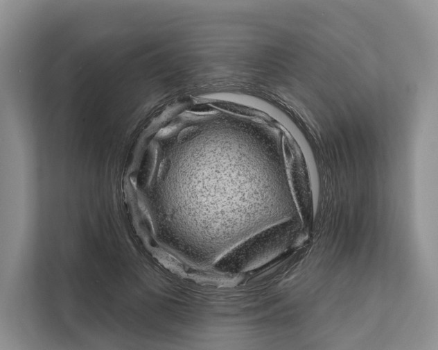 X0000111870693200908061254