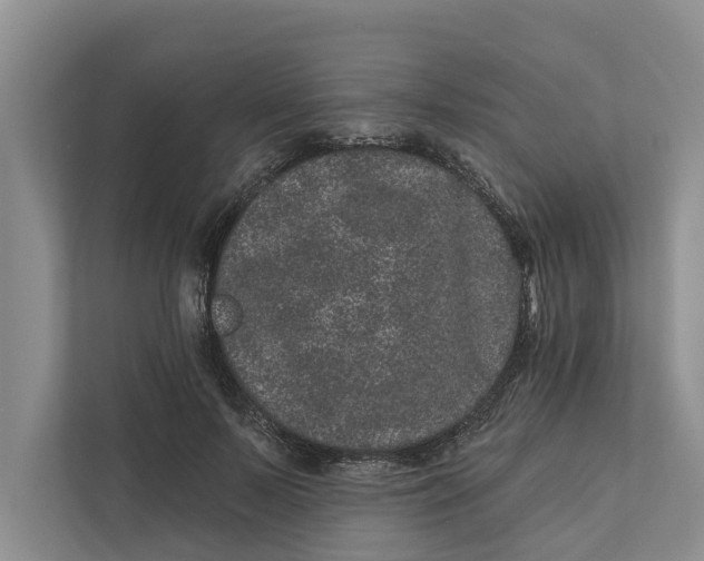 X0000111870695200908061254