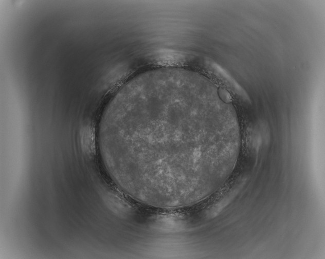 X0000111870696200908061254