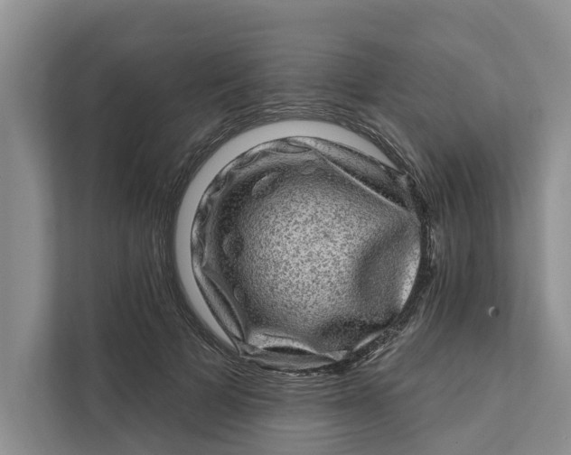 X0000111870697200908061254