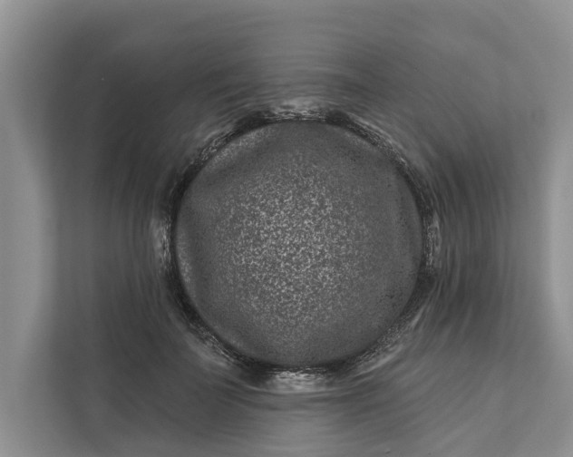 X0000111870699200908061254