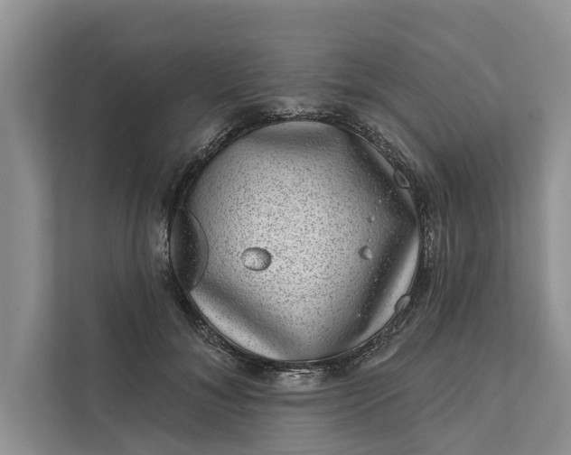 X0000111870700200908061254