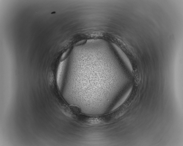 X0000111870704200908061254