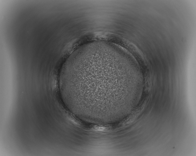 X0000111870706200908061254