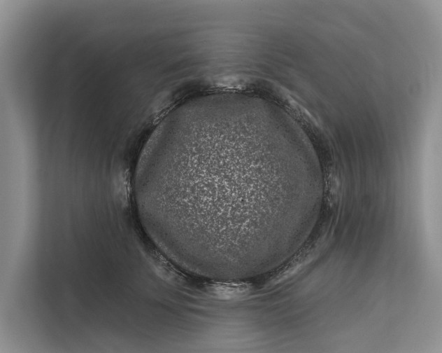 X0000111870707200908061254