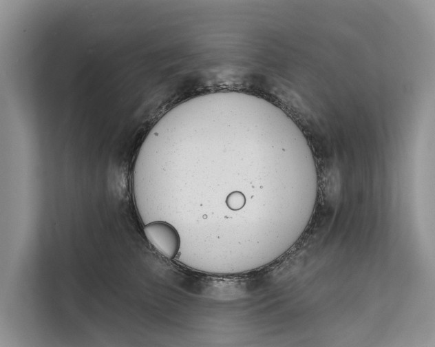 X0000111870709200908061254