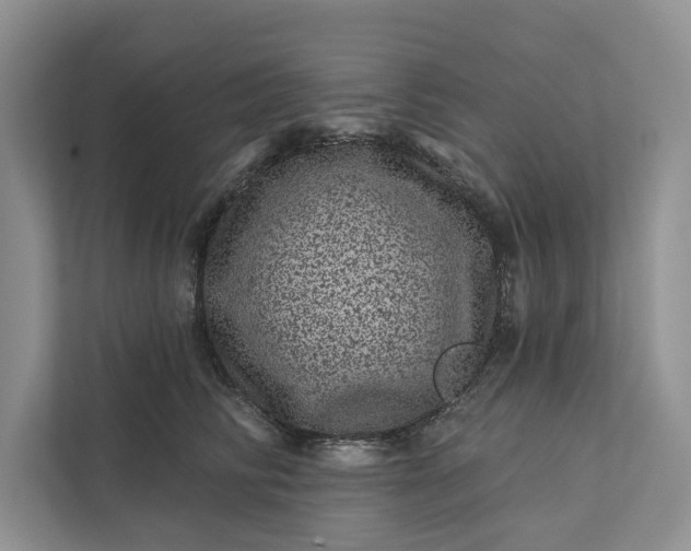 X0000111870710200908061254