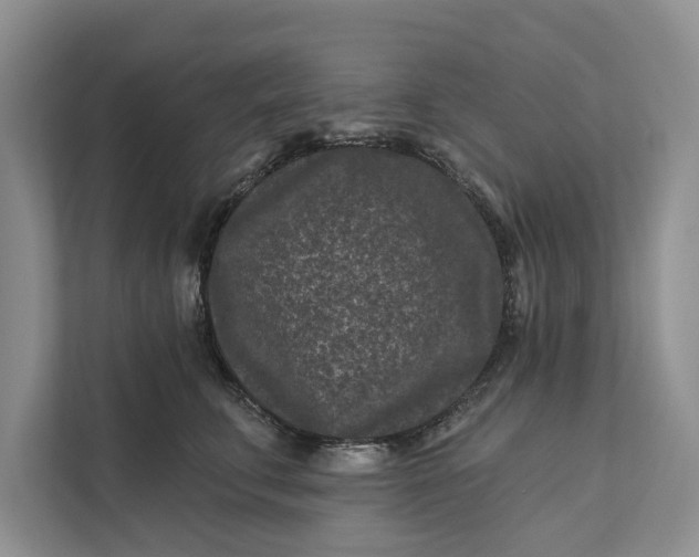 X0000111870711200908061254