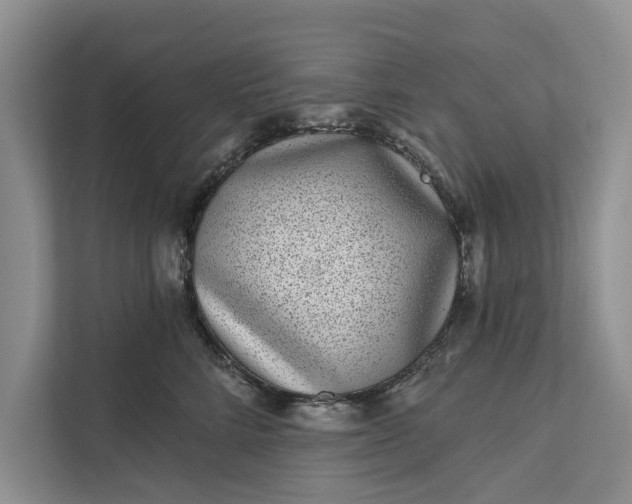 X0000111870712200908061254