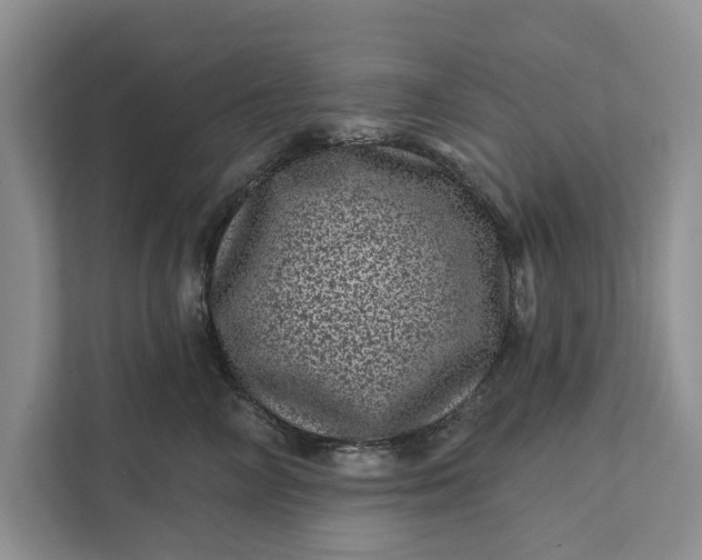 X0000111870714200908061254