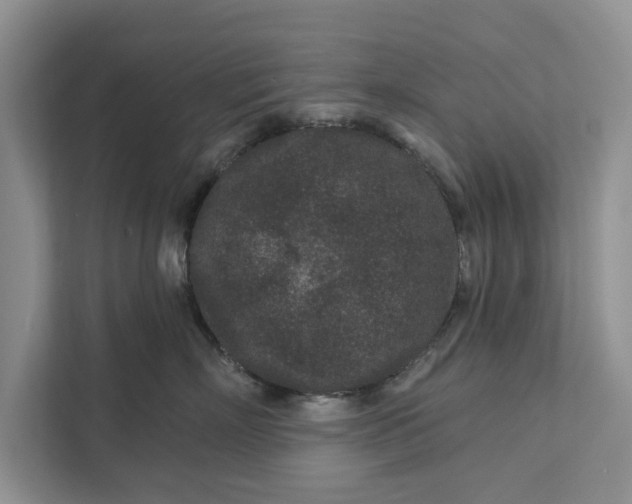 X0000111870718200908061254