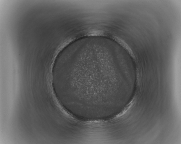 X0000111870721200908061253